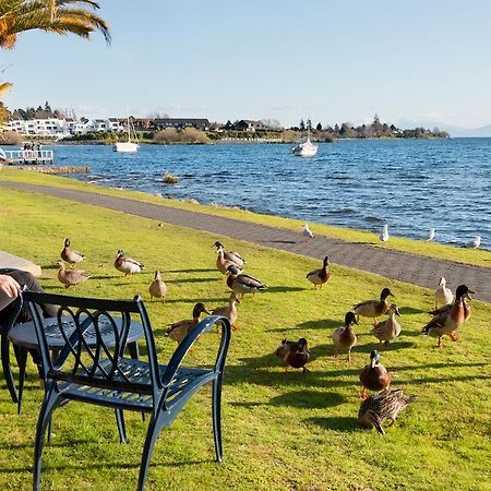 Oasis Beach Motel Taupo Eksteriør bilde