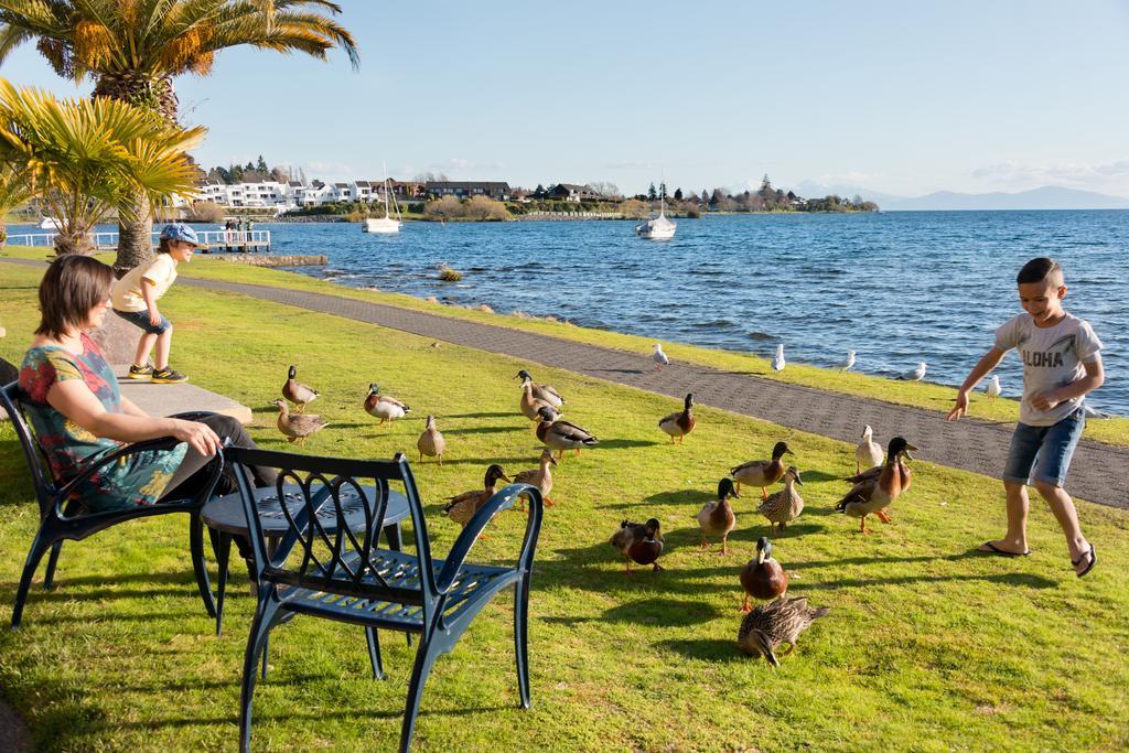 Oasis Beach Motel Taupo Eksteriør bilde